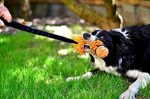 Dingo Dog tug Toy and TPR Rubber Ball Bungee Handle Microfiber Orange 20 in