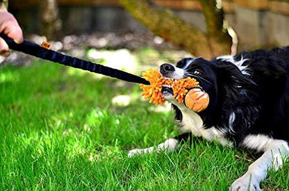Dingo Dog tug Toy and TPR Rubber Ball Bungee Handle Microfiber Orange 20 in
