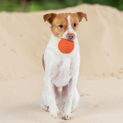 Best Pet Supplies Squeaky Dog Toys with Soft Durable Fabric for Small, Medium and Large Pets Interactive Toy for Indoor Play, Supports Active Biting and Play - Orange, Large