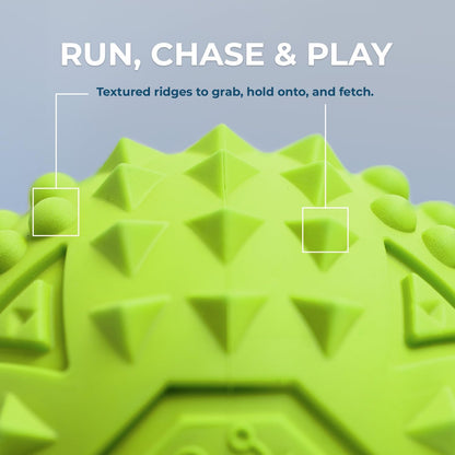 Best Pet Supplies Squeaky Dog Toys with Soft Durable Fabric for Small, Medium and Large Pets Interactive Toy for Indoor Play, Supports Active Biting and Play - Fuchsia, Green, Large