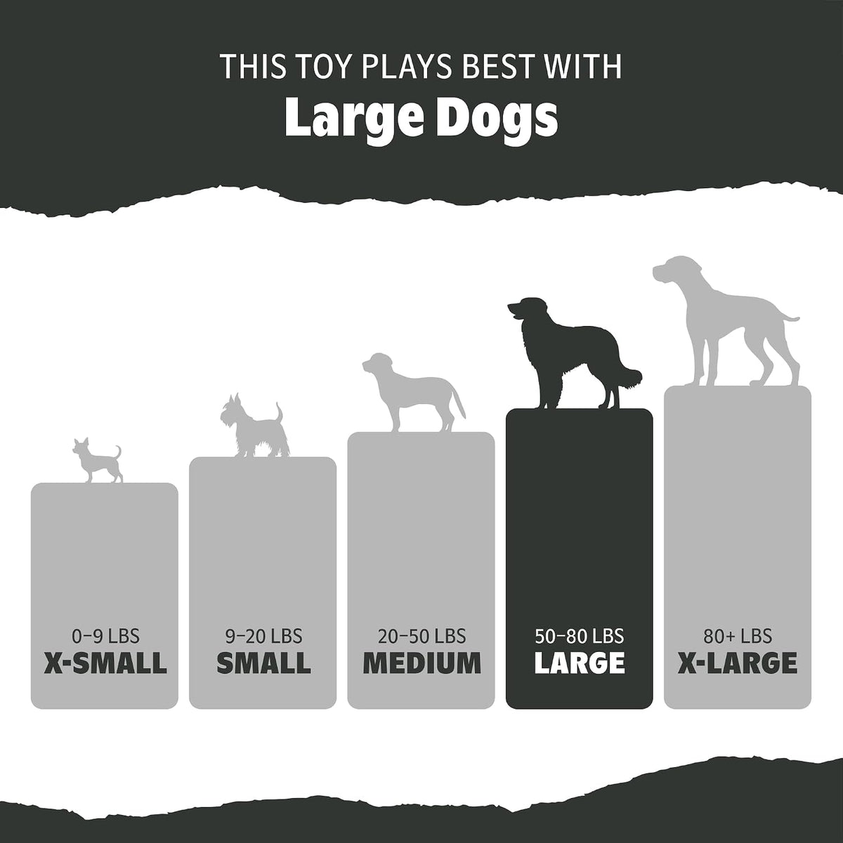 BarkBox Great White Dwight Dog Toy - Large Dogs