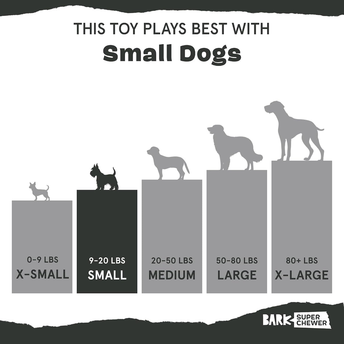 BarkBox Bear Hugger Dog Toy - 2-in-1 - Toy for Small Dogs