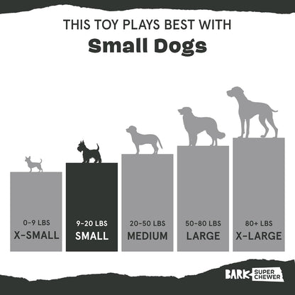 BarkBox Bear Hugger Dog Toy - 2-in-1 - Toy for Small Dogs