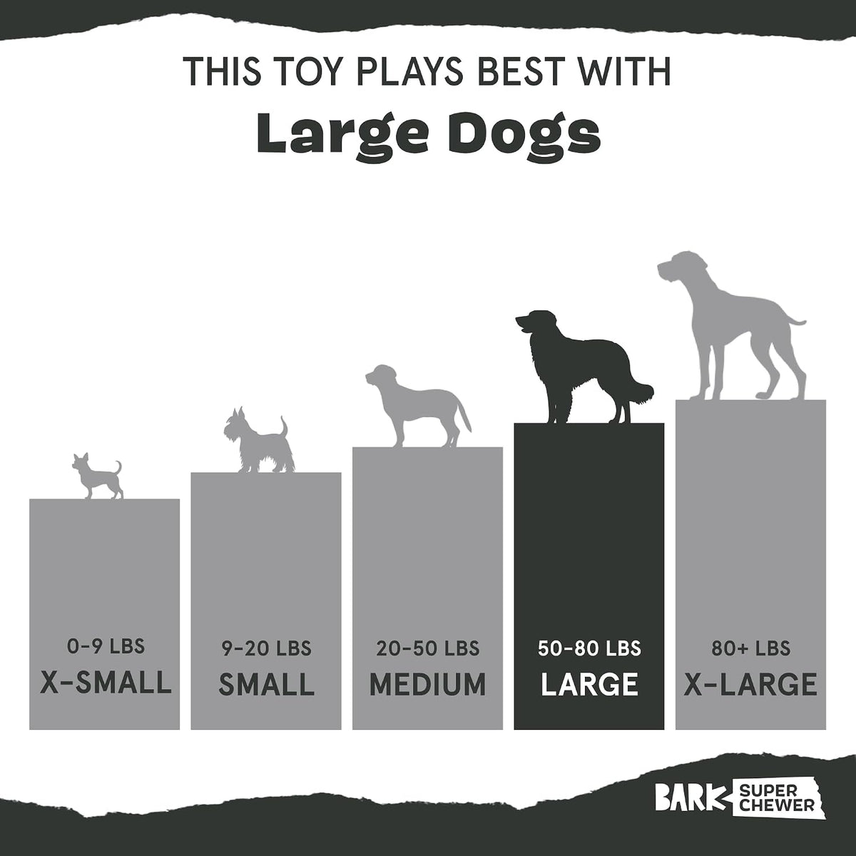 BarkBox Turkey Barker Dog Toy - Large