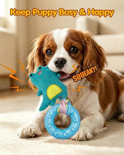 TOLOYE 5 Pack Squeaky Puppy Toys for Small Dogs, Soft Teething Plush TPR