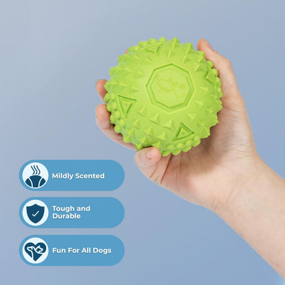Best Pet Supplies Squeaky Dog Toys with Soft Durable Fabric for Small, Medium and Large Pets Interactive Toy for Indoor Play, Supports Active Biting and Play - Fuchsia, Green, Large