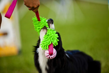 Dingo Dog tug Toy and TPR Rubber Ball Bungee Handle, Microfiber Green 20 in