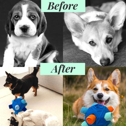 Interactive Snuffle Ball for Dog Toys Unbreakable Upgrade Ball Toy
