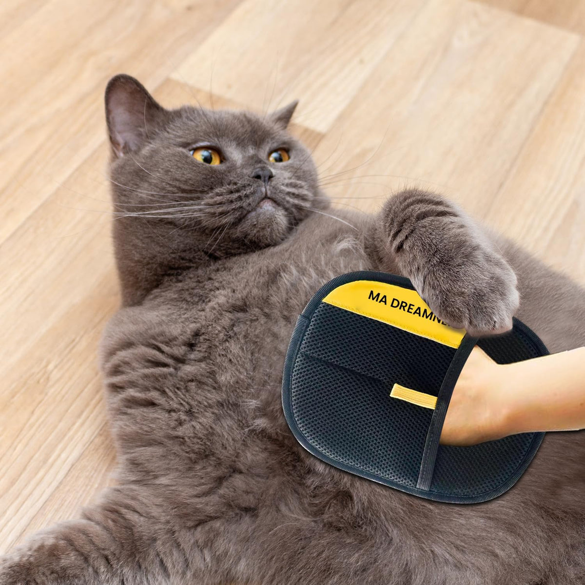 Pet Hair Removal Glove for Dogs & Cats – 4-in-1 Kit, Pet Grooming & Deshedding Glove, Electrostatic Pet Hair Remover Glove, Pet Hair Mitt Glove for Furniture, Couches & Clothing