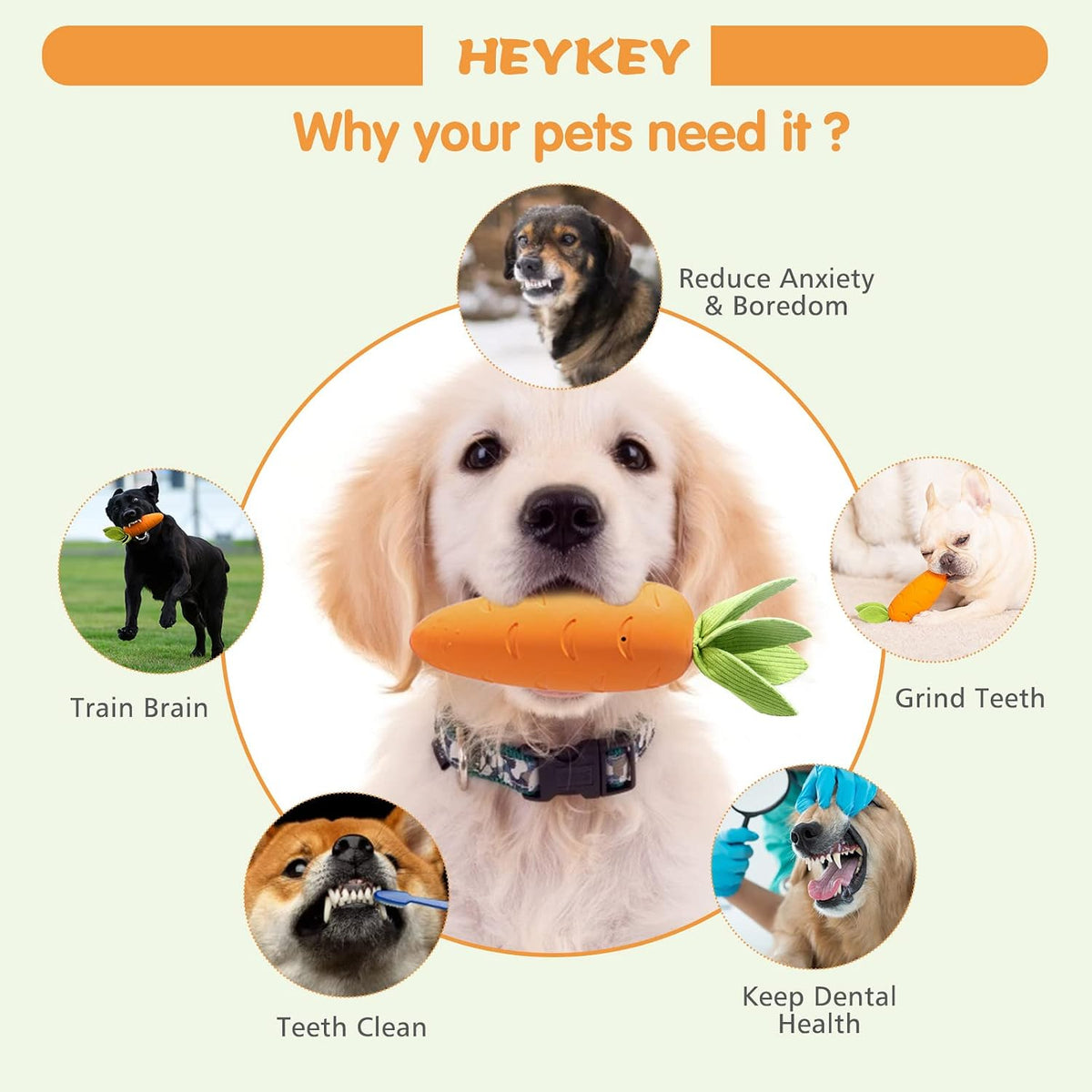 HEYKEY Dog Squeaky Chew Toys, Indestructible Suitable for Aggressive Chewers, Durable Natural Rubber Carrot Dog Toys Milk-Flavored Dog Teeth-Cleaning Toy for Puppy Medium Large Dogs, Orange