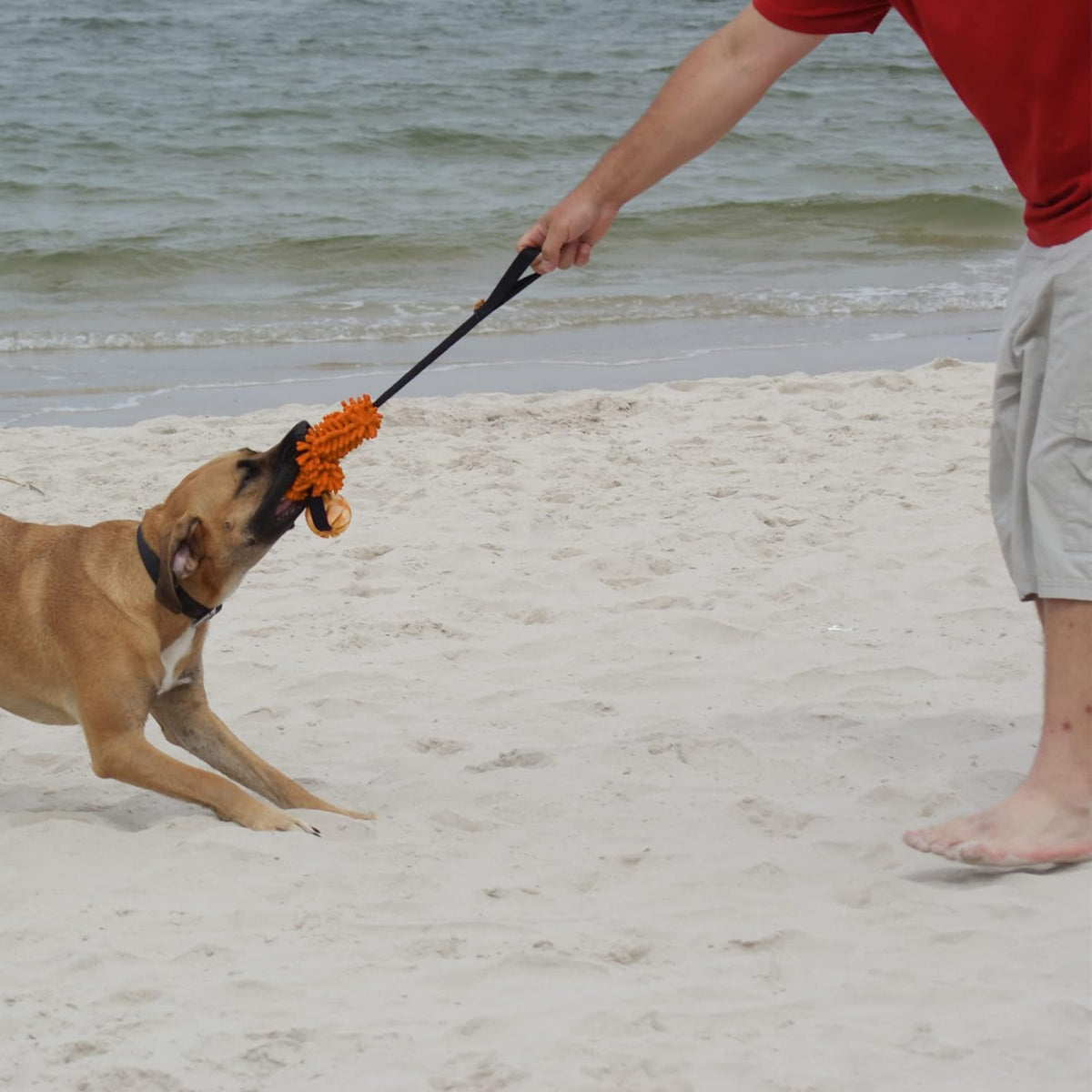 Dingo Dog tug Toy and TPR Rubber Ball Bungee Handle Microfiber Orange 20 in