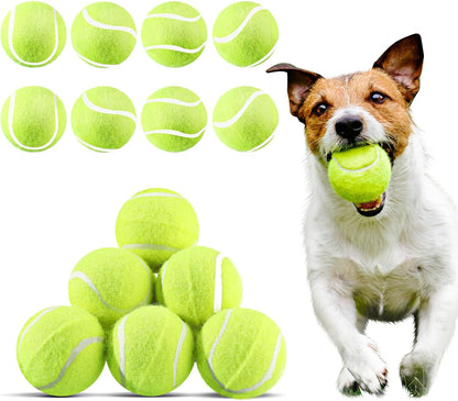 Hanaive 20 Pack Dog Tennis Balls 2 Inch Mini Tennis Balls for Small Dog