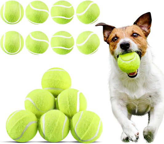Hanaive 20 Pack Dog Tennis Balls 2 Inch Mini Tennis Balls for Small Dog