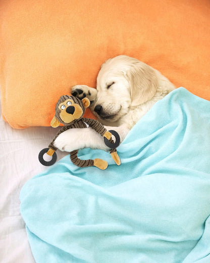 HGB Squeaky Monkey Dog Toy for Puppy & Small Dogs with Teething Rings