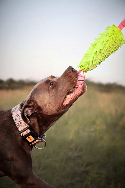 Dingo Dog tug Toy and TPR Rubber Ball Bungee Handle, Microfiber Green 20 in