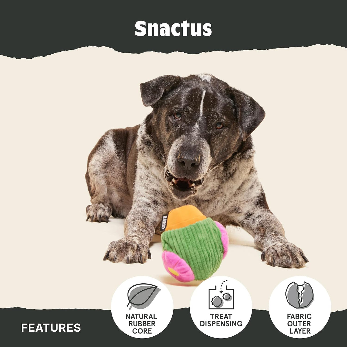 BarkBox Snactus Dog Toy - Large Dogs