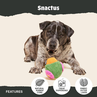 BarkBox Snactus Dog Toy - Large Dogs