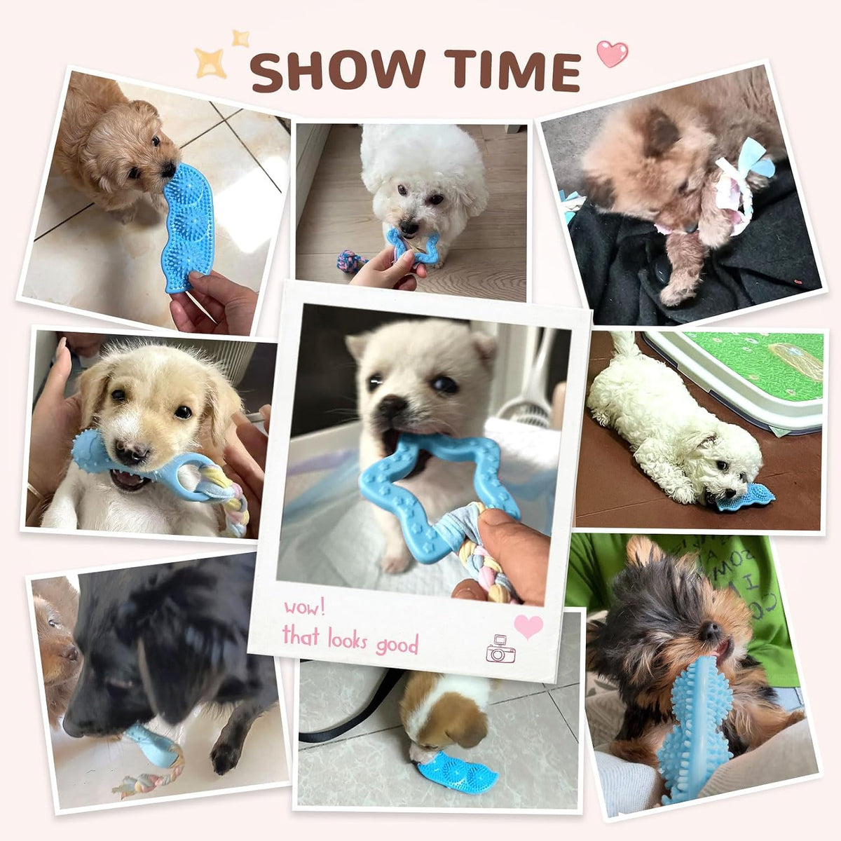 5 Pack Puppy Chew Toys for Small Dogs,Puppy Teething Toys for Small Puppies,Soft Rubber Dog Toys for Small Breed Interactive Chew Toys to Keep Them Busy (Blue)
