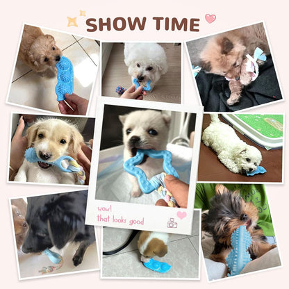 5 Pack Puppy Chew Toys for Small Dogs,Puppy Teething Toys for Small Puppies,Soft Rubber Dog Toys for Small Breed Interactive Chew Toys to Keep Them Busy (Blue)