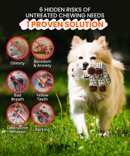 Squeaky Plush Dog Toys 3 Pack Set, Stuffed Animal Chew Toys for Small Dogs