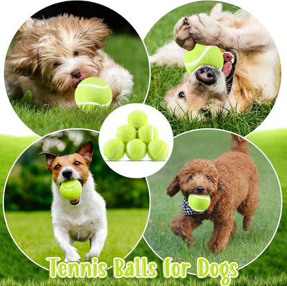 Hanaive 20 Pack Dog Tennis Balls 2 Inch Mini Tennis Balls for Small Dog