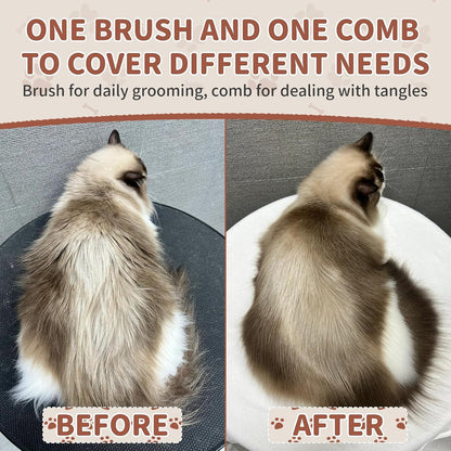 Natural Boar Bristle Cat Brush, Soft Pet Grooming Brush with Wooden Handle for Reduce Shedding, Pet Hair Brush for Dogs & Cats
