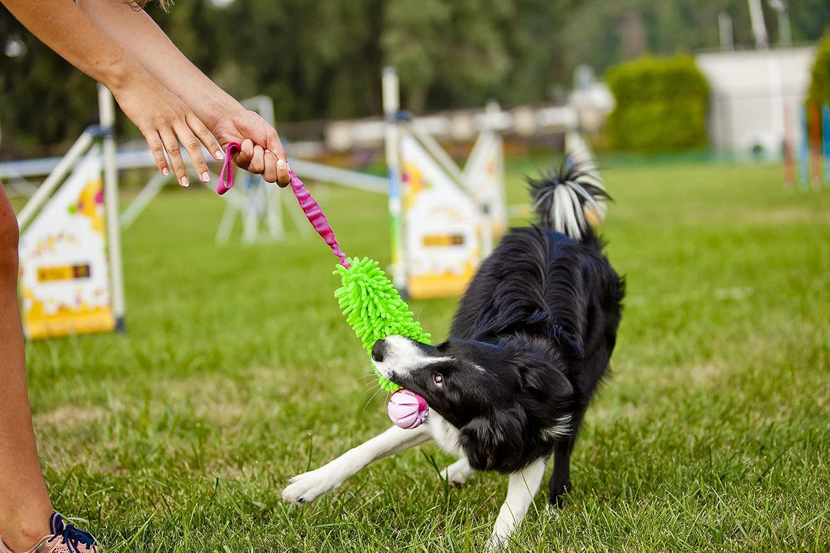 Dingo Dog tug Toy and TPR Rubber Ball Bungee Handle, Microfiber Green 20 in