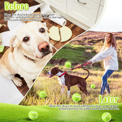 Hanaive 20 Pack Dog Tennis Balls 2 Inch Mini Tennis Balls for Small Dog