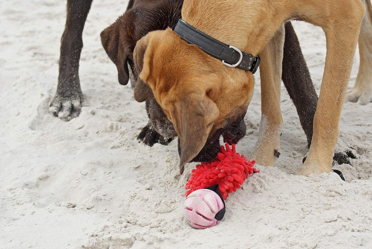 Dingo Dog tug Toy and TPR Rubber Ball Bungee Handle, Microfiber, red 20 in