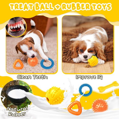 Zeaxuie 23 Pack Luxury Puppy Toys for Teething Small Dogs, Puppy Chew Toys with Rubber Toy, Rope and Squeaky Toys