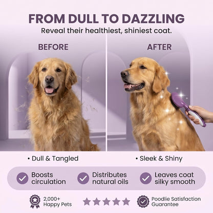 Round Bristle Pet Brush for Dogs and Cats - Soft Dog Brush for Grooming Short or Long Hair - Gentle Tool for Sensitive Skin Removes Dander, Dirt, and Detangles (Purple)
