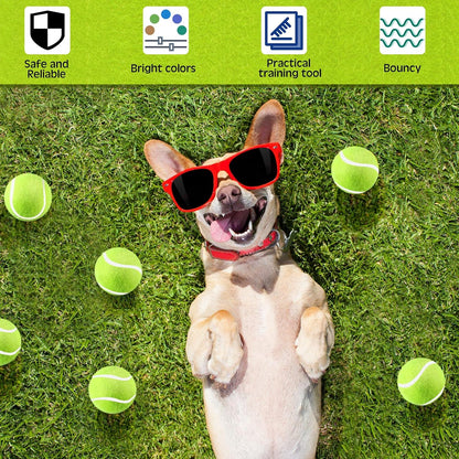 Hanaive 20 Pack Dog Tennis Balls 2 Inch Mini Tennis Balls for Small Dog